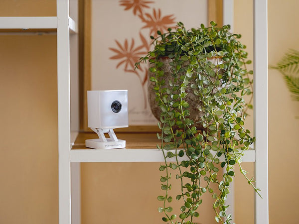 SCOPE BEWAKINGSSET - 2